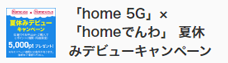 「home 5G」×「homeでんわ」夏休みデビューCP